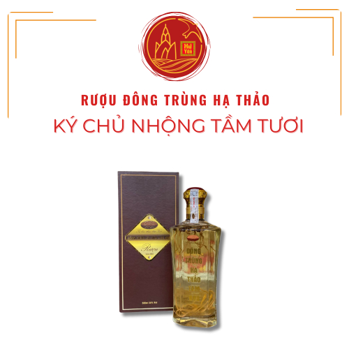 Rượu Đông Trùng Hạ Thảo Ký Chủ Nhộng Tằm Tươi (Hộp giấy)