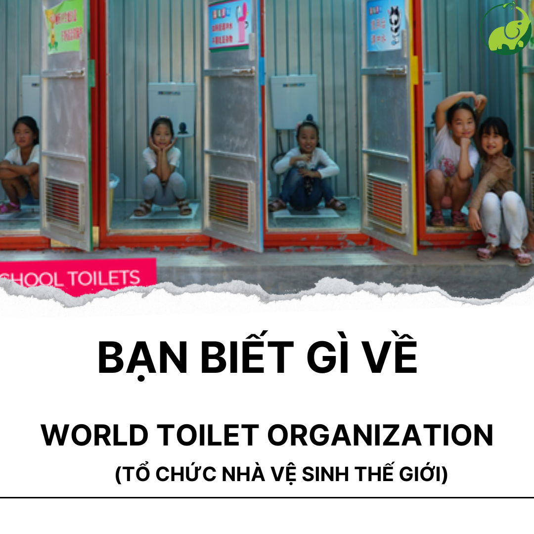 Bạn Biết Gì Về World Toilet Organization (Tổ Chức Nhà Vệ Sinh Thế Giới)